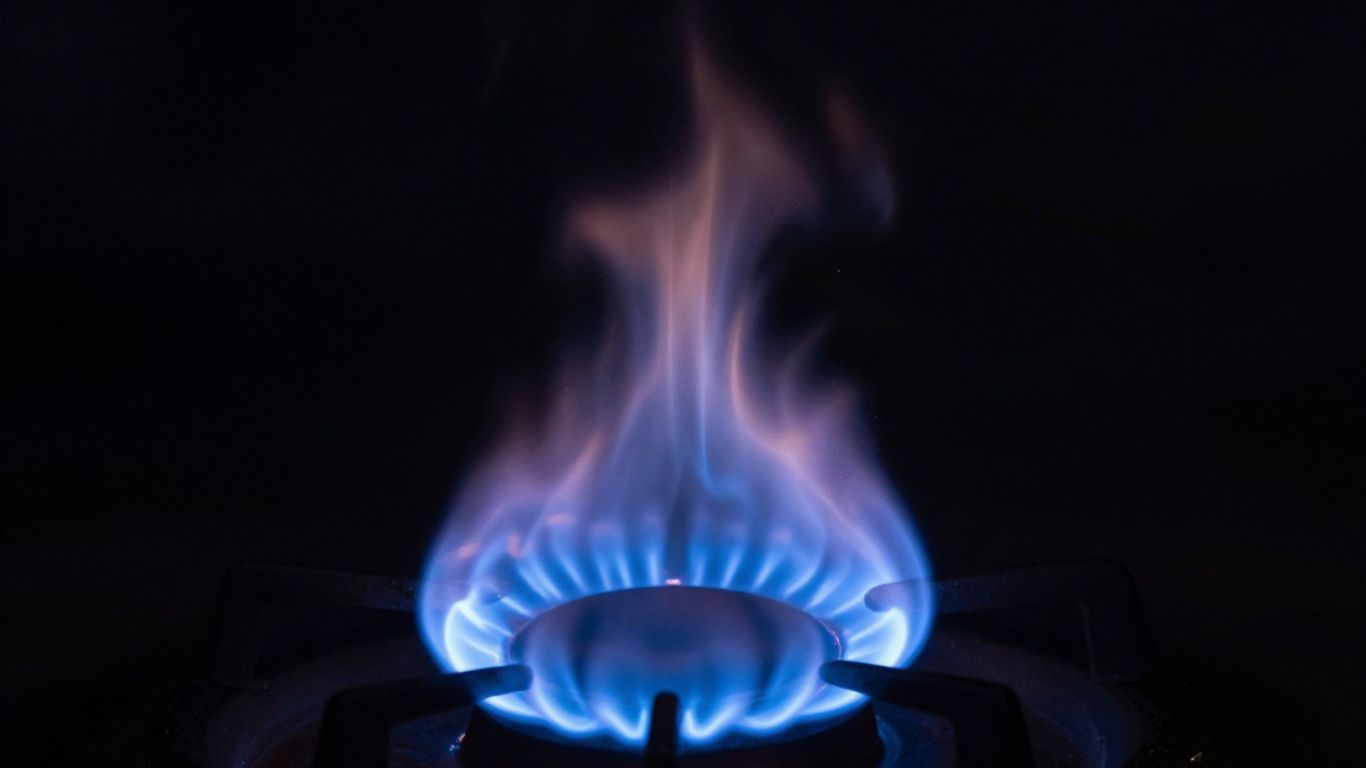 Gás Natural: O Que É, Como Funciona e Seu Impacto no Mercado Energético